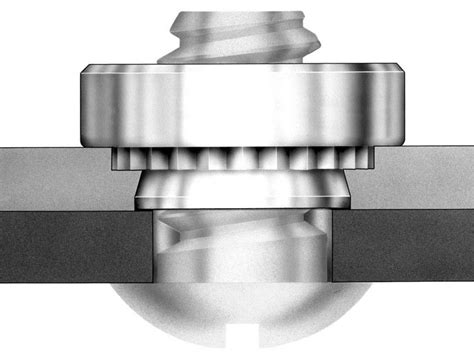 sheet metal press fitting nut